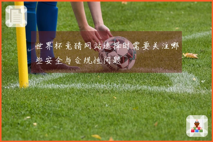 世界杯竞猜网站选择时需要关注哪些安全与合规性问题