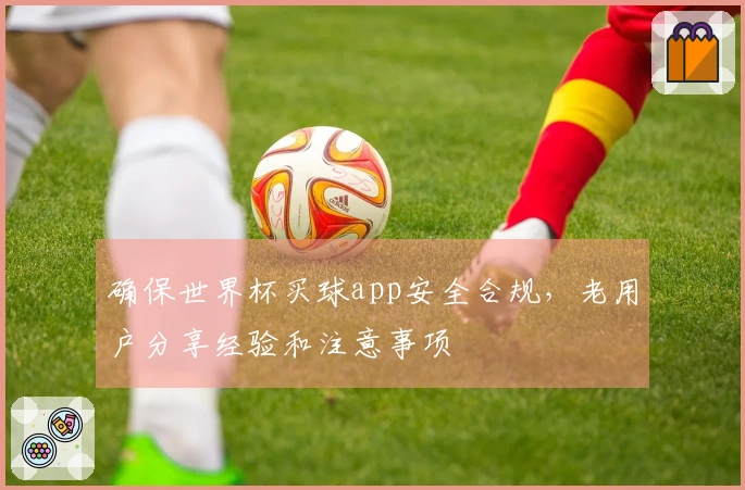 确保世界杯买球app安全合规，老用户分享经验和注意事项