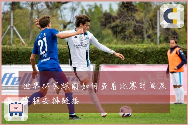 世界杯买球前如何查看比赛时间及赛程安排链接